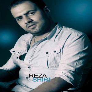 مجنون بی  چون و چرا رضا شیری