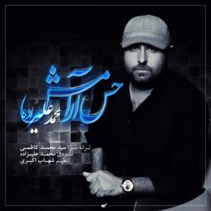 حس آرامش محمد علیزاده