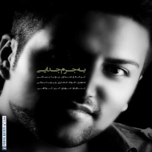 به جرم جدایی پویا بیاتی