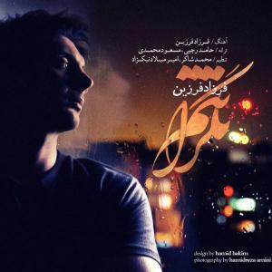نگرانتم فرزاد فرزین