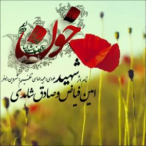 شهید امین فیاض و صادق  شاهدی