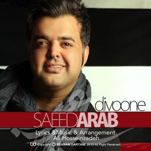 دیوونه سعید عرب