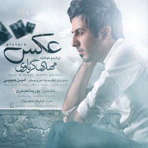 Mehdi Garnavi – The Picture