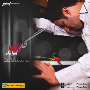 گل پونه پویا بیاتی