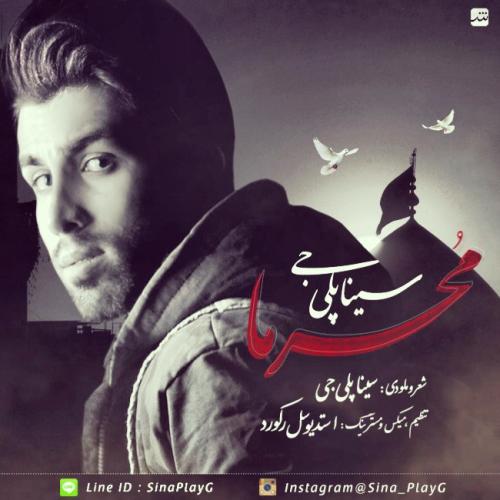 دانلود آهنگ  سینا پلی جی محرما
