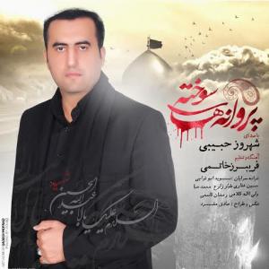 Shahrooz Habibi – Parvanehaye Sookhteh