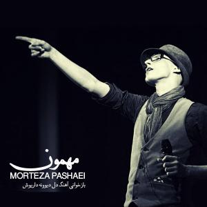 مهمون مرتضی پاشایی