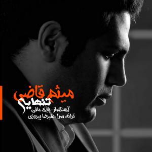 Meysam Ghazi – Tanhaei