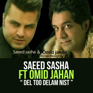 دل تو دلم‌ نیست