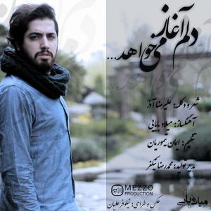 دانلود آهنگ  دلم آغاز میخواهد از میلاد بابایی