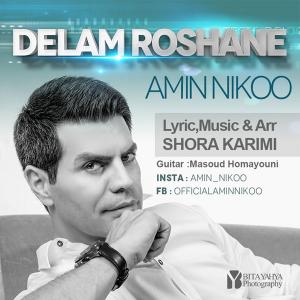 Amin Nikoo – Delam Roshane