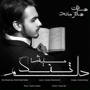 Hootan Honarmand – Delam Tang Misheh