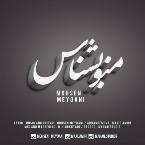 دانلود آهنگ محسن میدانی منو بشناس