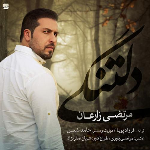 دانلود آهنگ مرتضی زارعان دلتنگی