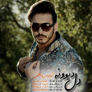 Shervin Panahi – Dele Divoone