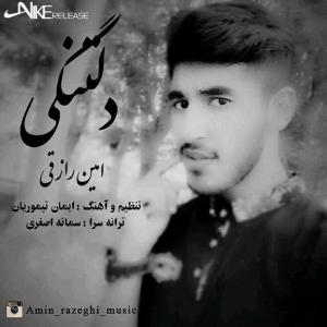 دانلود آهنگ  امین رازقی دلتنگی
