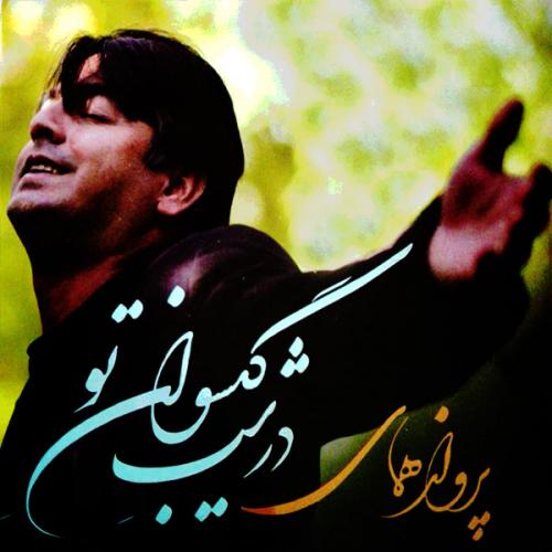 دانلود آلبوم پرواز همای درشب کیسوان تو