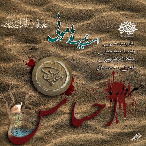 دانلود آهنگ امیر حسینی  سردر با احساس