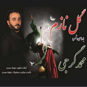 دانلود آهنگ  محمد گرجی  گل نازم