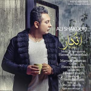 دانلود آهنگ علی شکوری انکار