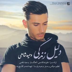 دانلود آهنگ  وحید شاهی دلیل زندگی