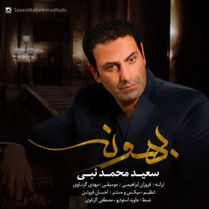 Saeed Mohammad Nabi – Bahoone
