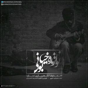  نوازنده خیابانی