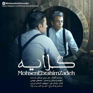 گلایه محسن ابراهیم زاده