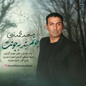 Saeed Mohammad Nabi – Joonam Bande Be Joonet