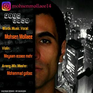 دانلود آهنگ  محسن مولایی پیش بینی