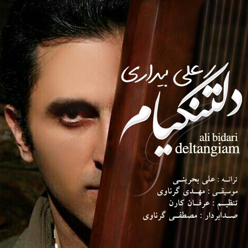 دانلود آهنگ  علی بیداری دلتنگیم