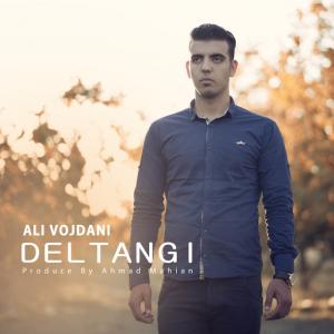 Ali Vojdani – Deltangi