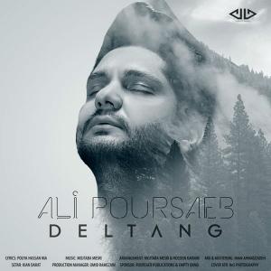 Ali Poursaeb – Deltang