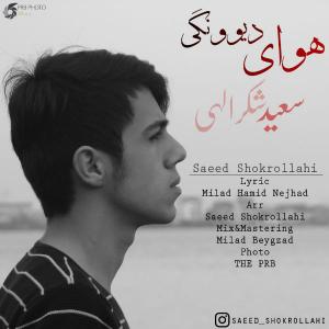 Saeed Shokrollahi – Havaye Divoonegi
