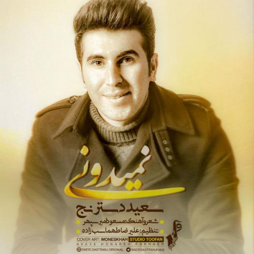 دانلود آهنگ سعید دسترنج نمیدونی