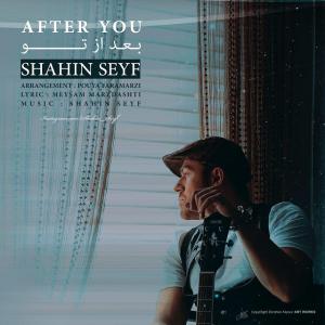 Shahin Seyf – After You