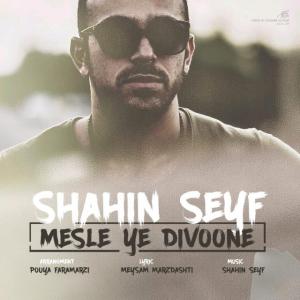 Shahin Seyf – Mesle Ye Divoone