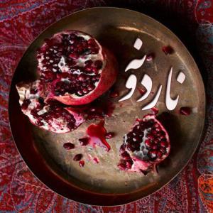 ناردونه علی زند وکیلی