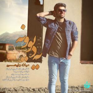 دانلود آهنگ میلاد رفیعی یه دیوونه