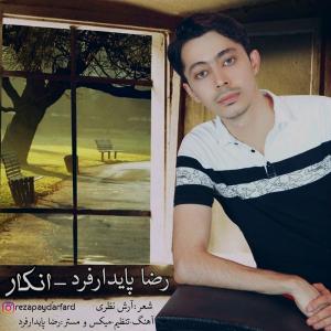 دانلود آهنگ رضا پایدارفرد انکار