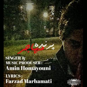 دانلود آهنگ امین همایونی پرنده مهاجر