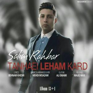 Salim Rahbar – Tanhaei Leham Kard