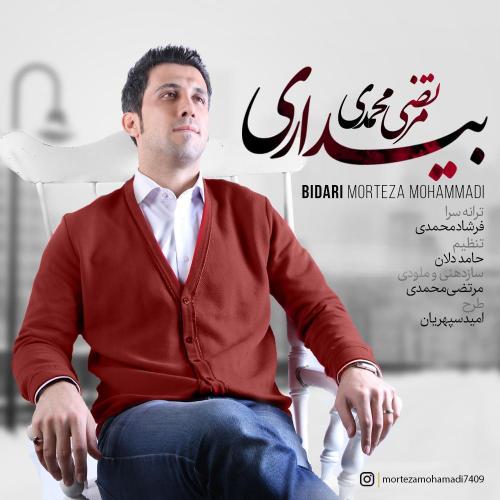 دانلود آهنگ مرتضی محمدی بیداری