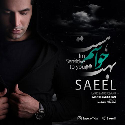 دانلود آهنگ ساییل حواسم بهت هست