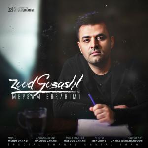 زود گذشت میثم ابراهیمی