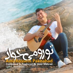 Amirhossein Paknahad – Toro Mikhad