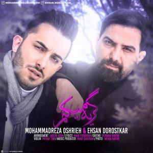 Mohammad Reza Oshrieh And Ehsan Dorostkar – Geryeh Mikonam