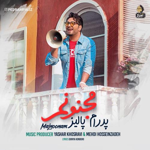 دانلود آهنگ پدرام پالیز جنونم