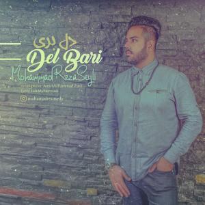 Mohamadreza Seily – Delbari