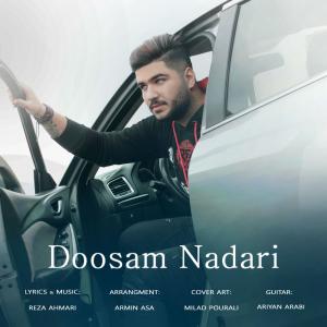 دانلود آهنگ رضا احمری دوسم نداری